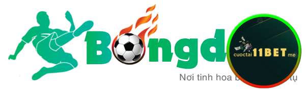 Giới thiệu tổng quan về trang bóng đá Bongdaso
