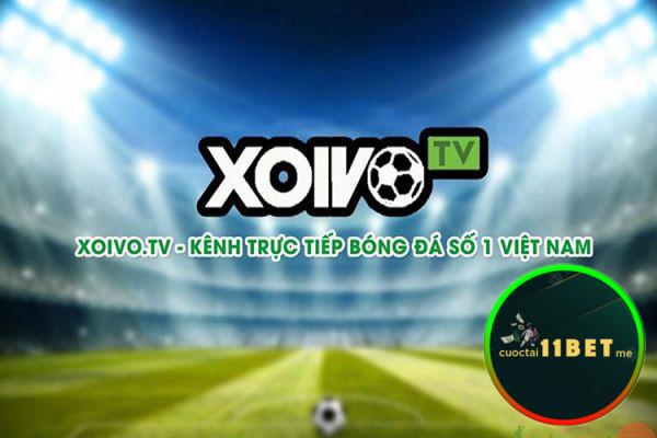 Đánh giá tổng quan về kênh xem bóng đá Xoivo TV