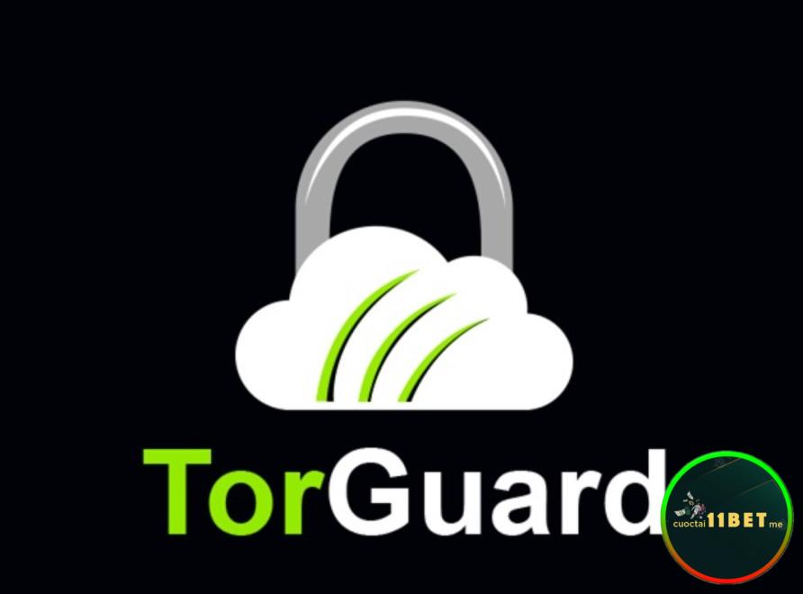 Giới thiệu những thông tin cơ bản về phần mềm TorGuard VPN